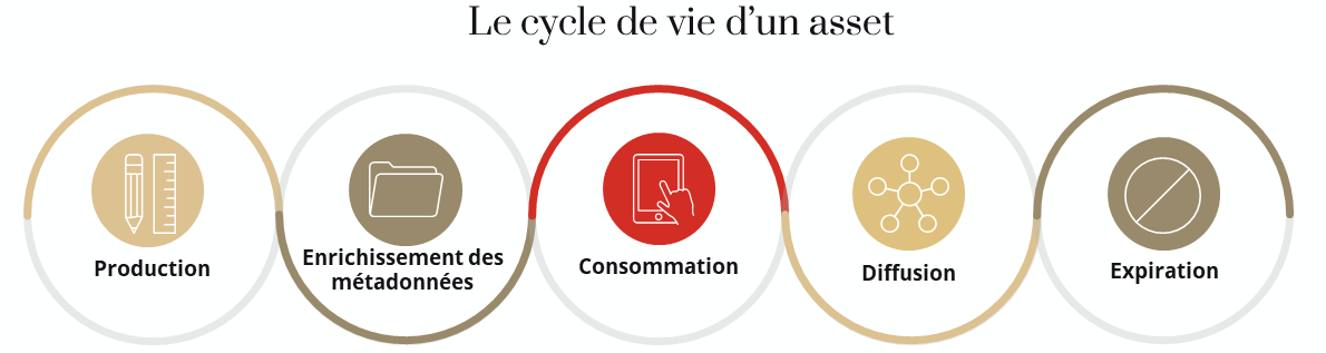 Cycle de vie d'un asset