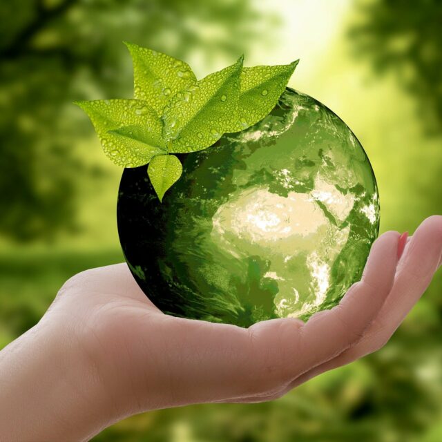 Adone Conseil riceve il label CSR EcoVadis