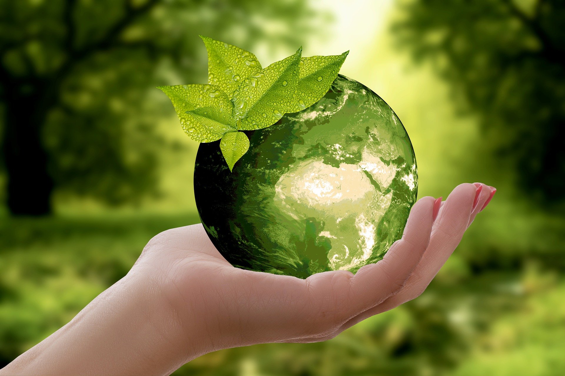 Adone Conseil riceve il label CSR EcoVadis